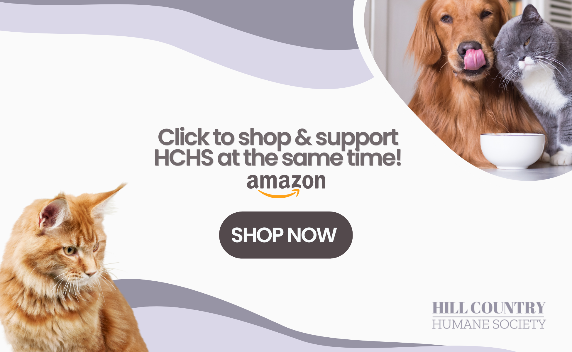 Support HCHS 